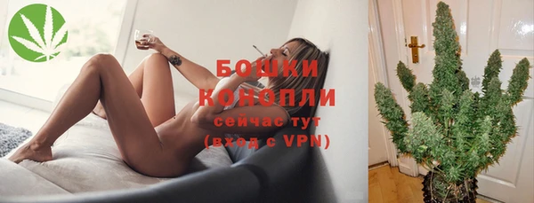 шишки Аркадак