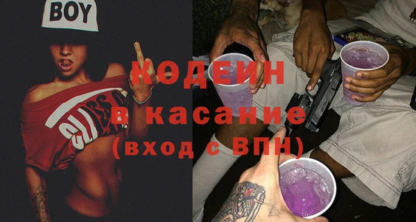 шишки Аркадак