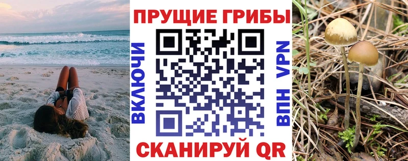 Галлюциногенные грибы мухоморы  закладка  Колпашево 